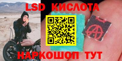 ALPHA PVP Аргун